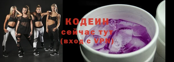 дмт Абаза