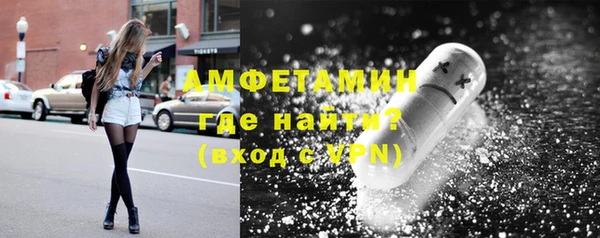 прущие грибы Медвежьегорск