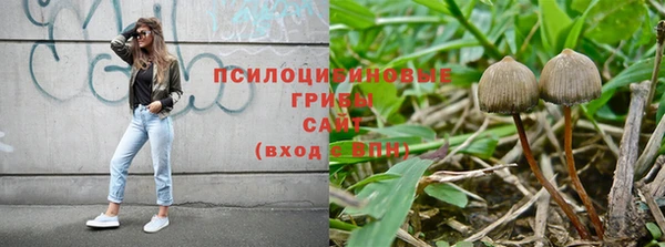 дурь Алексеевка