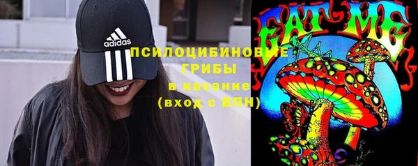 дмт Абаза