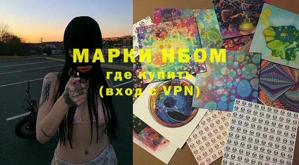 шишки Алзамай